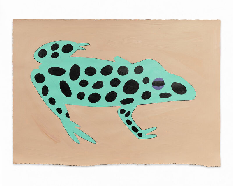 The Animals I’ve Painted!!