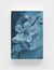 Faun