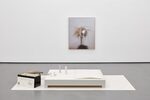 View exhibition