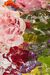 ECCPROJECTS #35 Marius Boekhorst