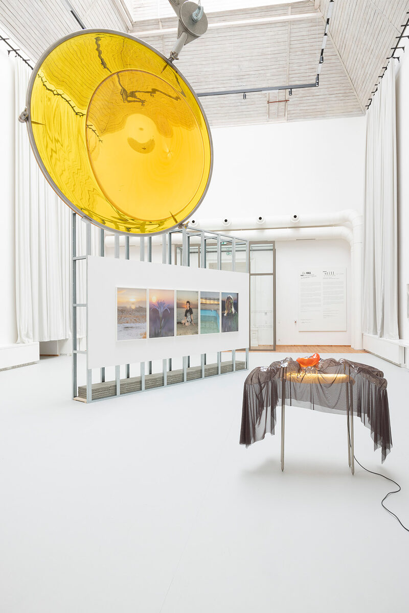 still (a little life)