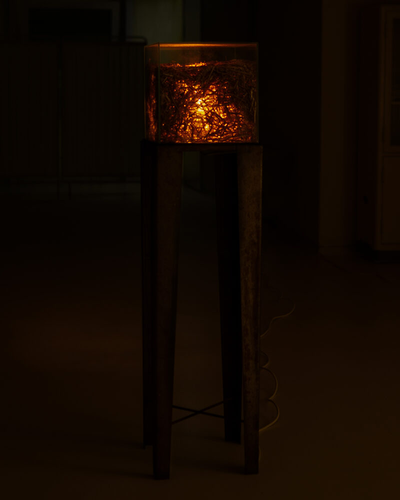 INNER : LICHT