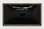 Peter Hujar / Liz Deschenes: Persistence of Vision
