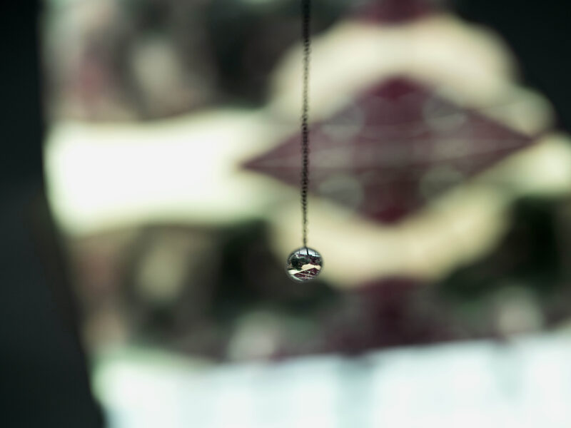 Confusion model into a butterfly