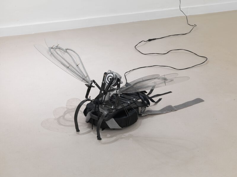 Syndromes of Synthetic Never