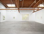 Trevor Shimizu