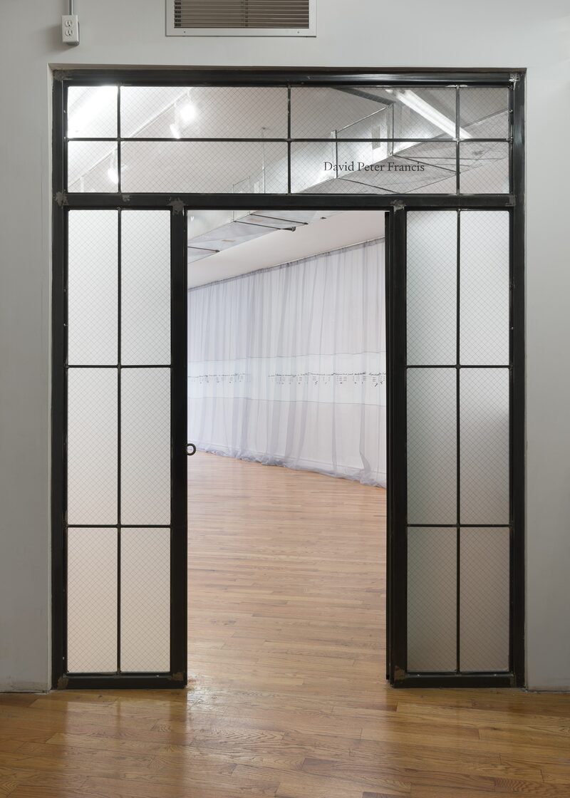 Snake, Turtle, Alligator