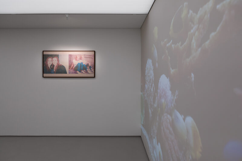 The Most Normal Person in the World