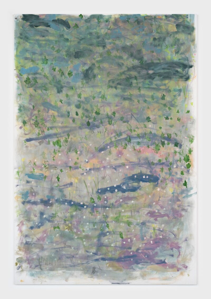 Trevor Shimizu
