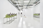 View exhibition