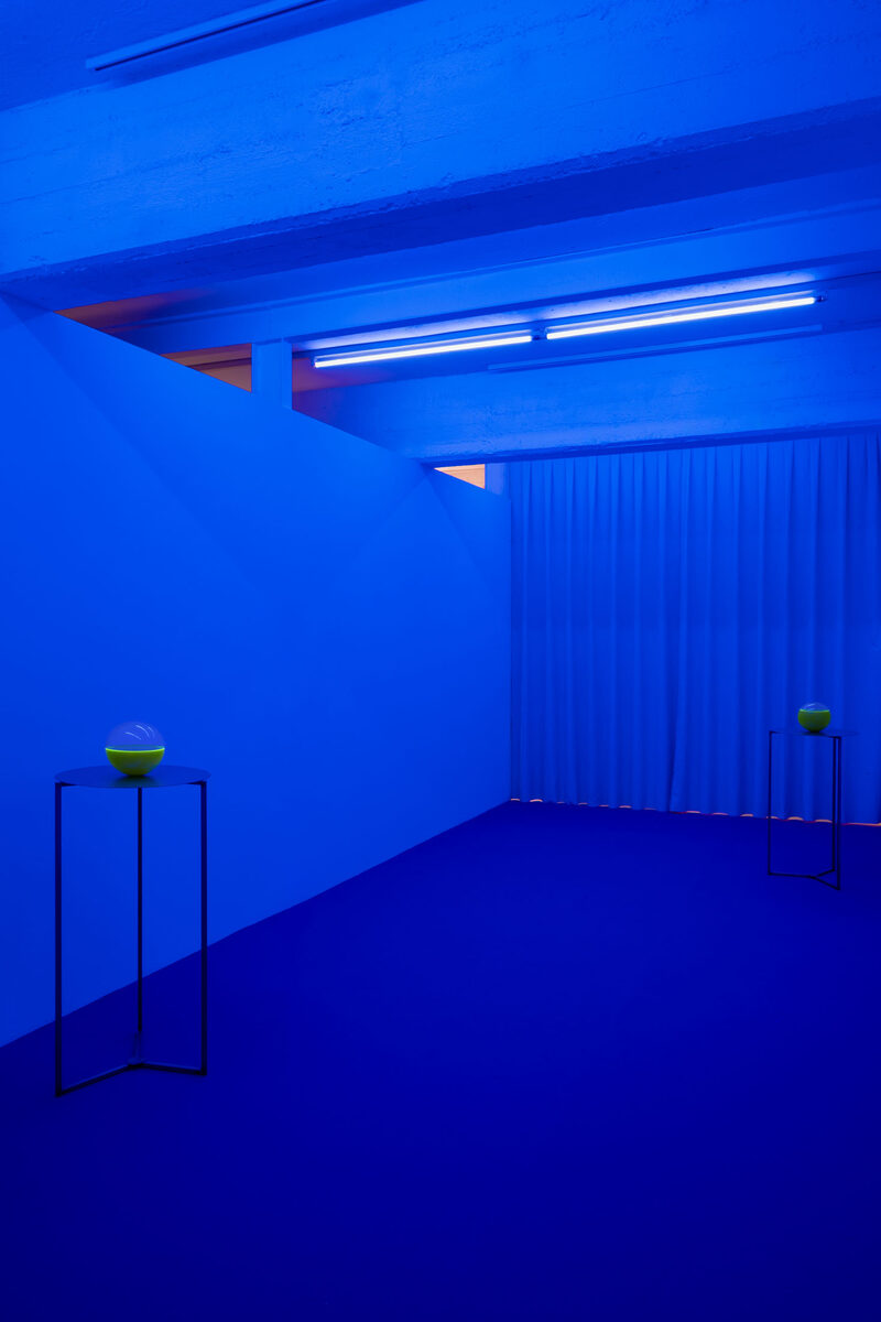 YELLOWSAKE - giallocanarino