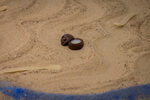 Sand and Water