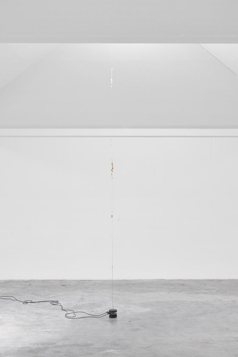 Future Mechanism Rag Plus Two Grams