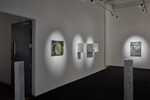 Alice Wang: Windstorm on Saturn, Basalt Columns, MDMA, Serotonin