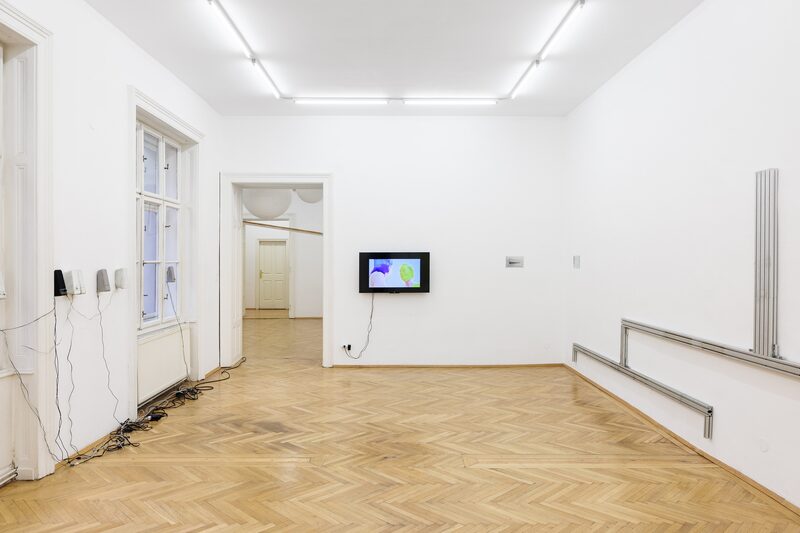 The Artists Alone Decide