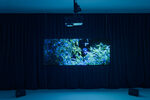 View exhibition