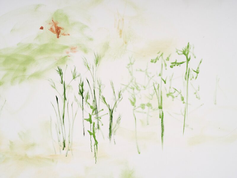Trevor Shimizu