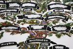 Beth Lipman: The Map is Not the Territory