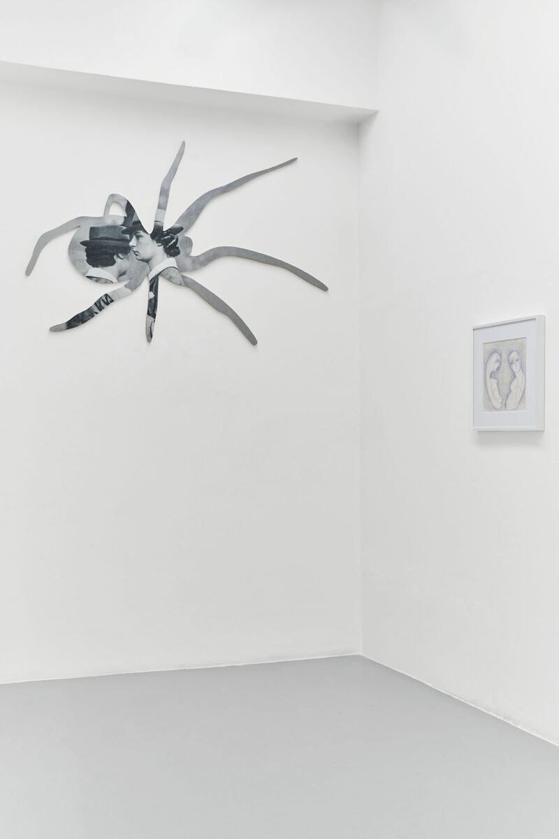 He Does Not Have a Chance