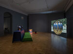 Following the White Tiger