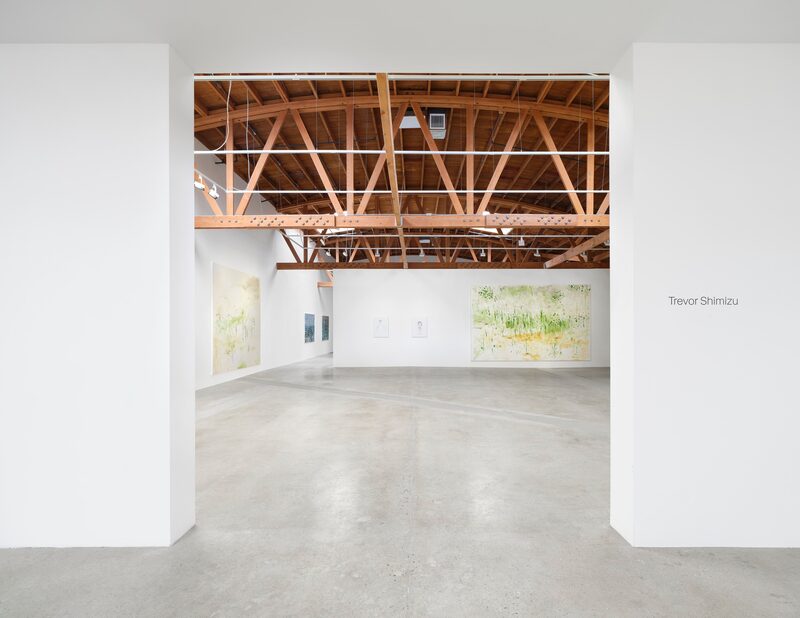 Trevor Shimizu