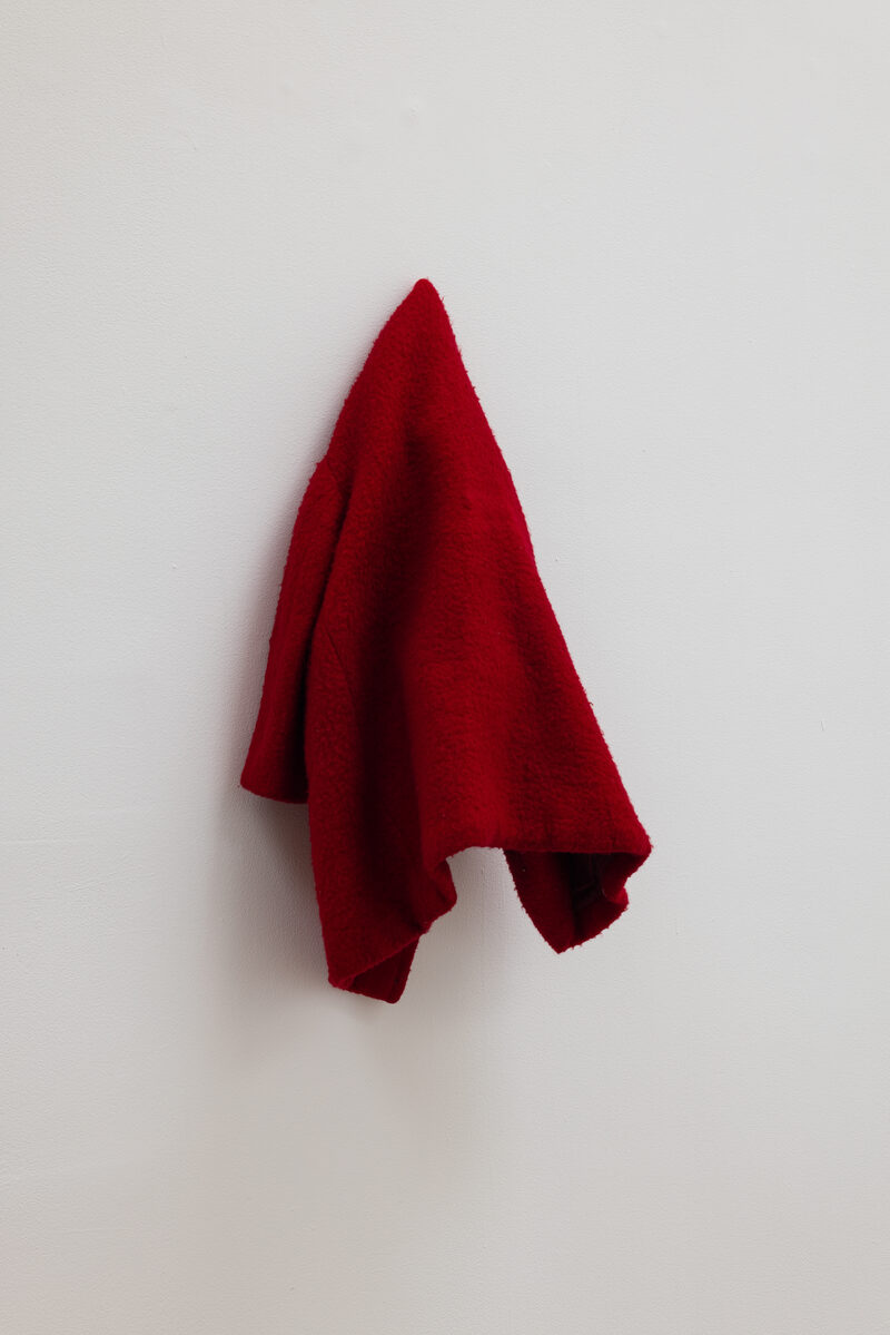 Cathy Wilkes