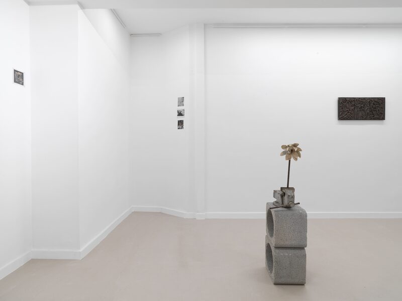 Syndromes of Synthetic Never