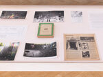 Celebration? Realife Revisited. 1972-2000
