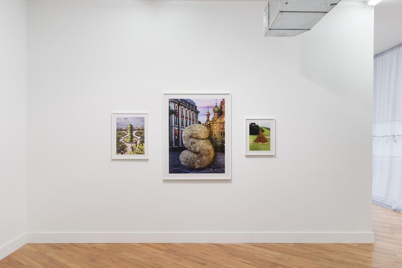 Snake, Turtle, Alligator