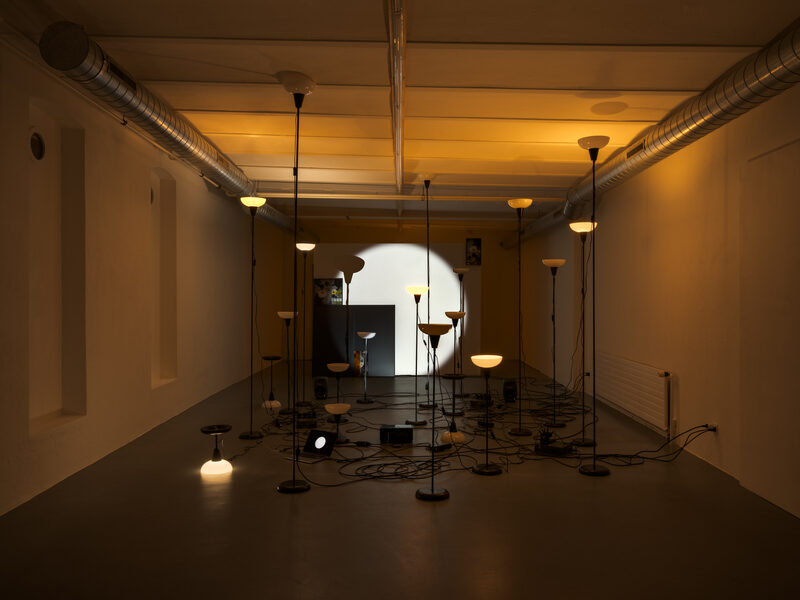 Daria Blum: HOME SCREEN