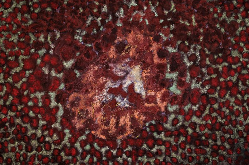 ~ Bismillah, slip skønheden fri