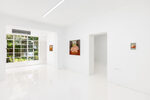 View exhibition
