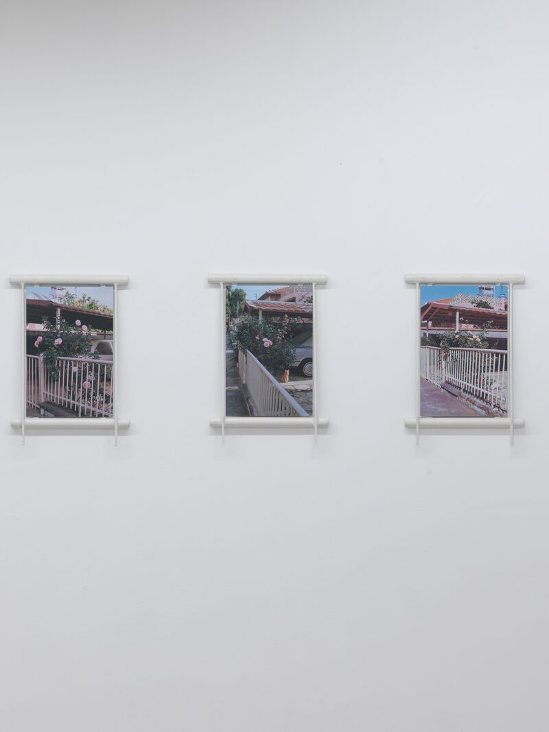 Syndromes of Synthetic Never