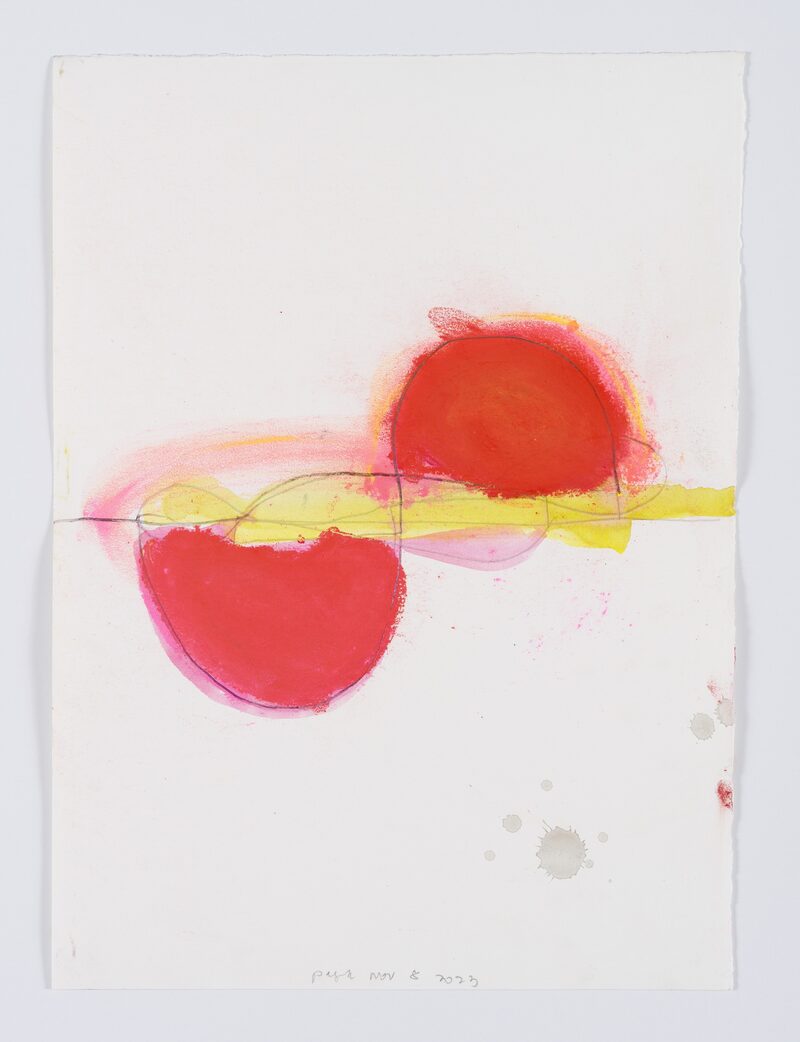 Inscriptions in a Shade of Color