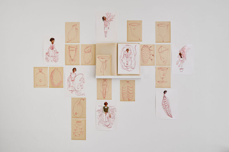 Wet Herbarium