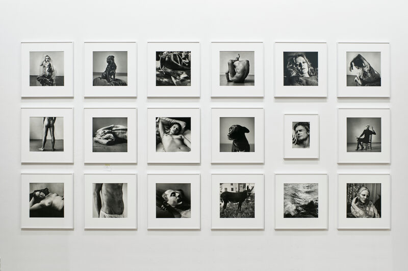 Peter Hujar / Liz Deschenes: Persistence of Vision