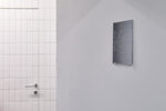 Hidden Noise: Sonitus Occulti