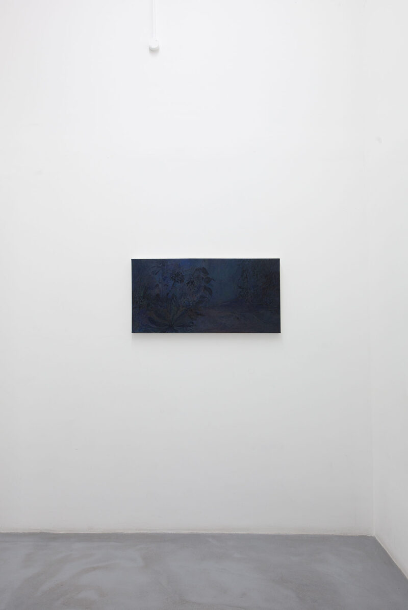 A Stone in my Pocket