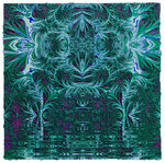 Inside the Frame: Twenty Years in Focus