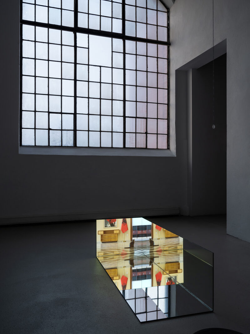 Confusion model into a butterfly