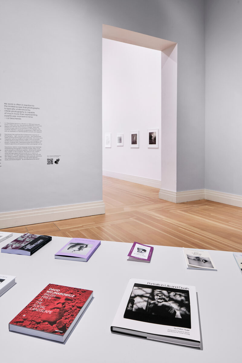 Peter Hujar / Liz Deschenes: Persistence of Vision