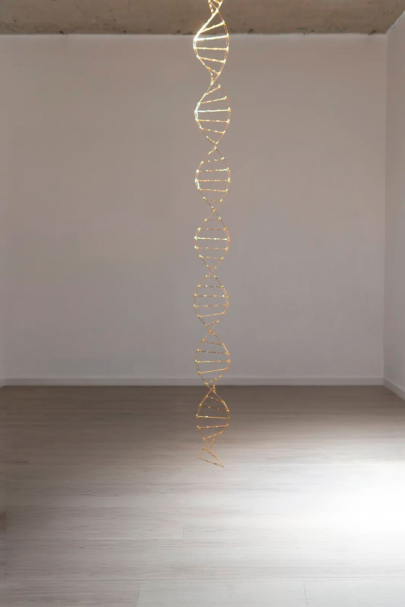 From the Collection
