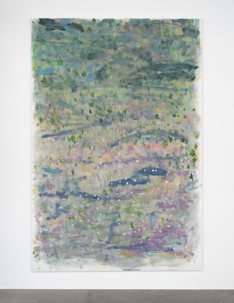 Trevor Shimizu