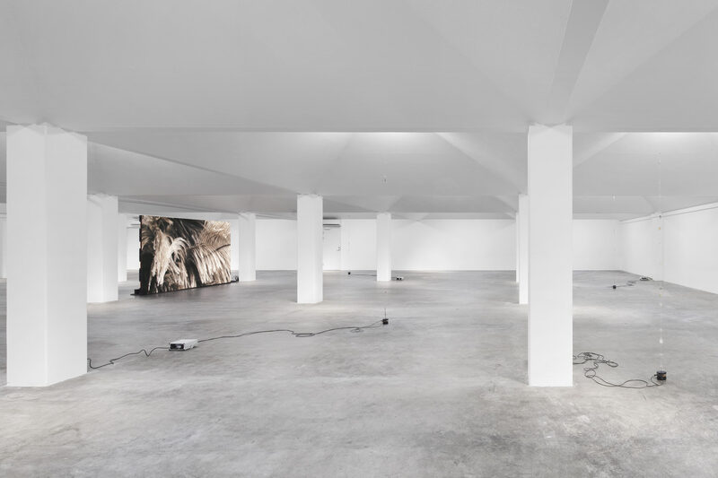 Future Mechanism Rag Plus Two Grams