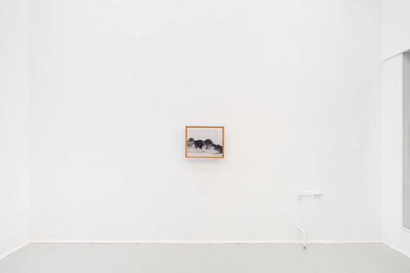 Communion of Nurture