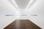 LAWRENCE WEINER: IN RELATION TO PROBABLE USE