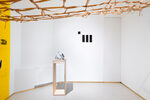 Lygia Clark / Anatomie d'une ligne