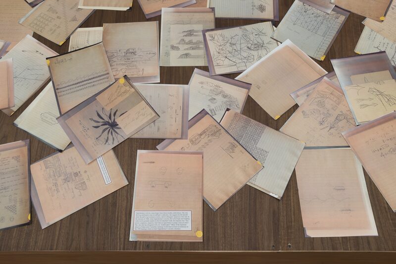 Snake, Turtle, Alligator