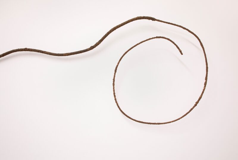 Salvador Dalí’s Birthday Party