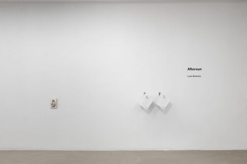 View featured exhibition Aftersun at Balazsi Gallery